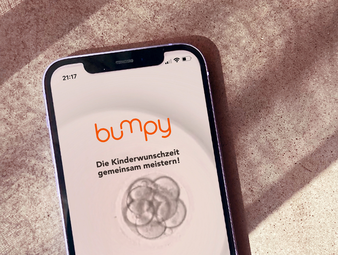 bumpy-webportal