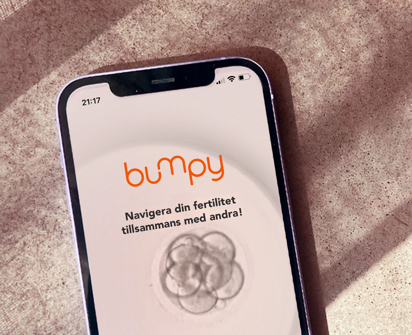 bumpy-webportal